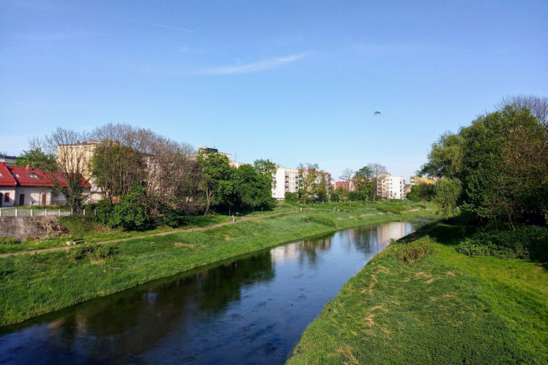 Akcja Czysta Odra w Raciborzu, Kędzierzynie-Koźlu i okolicach
